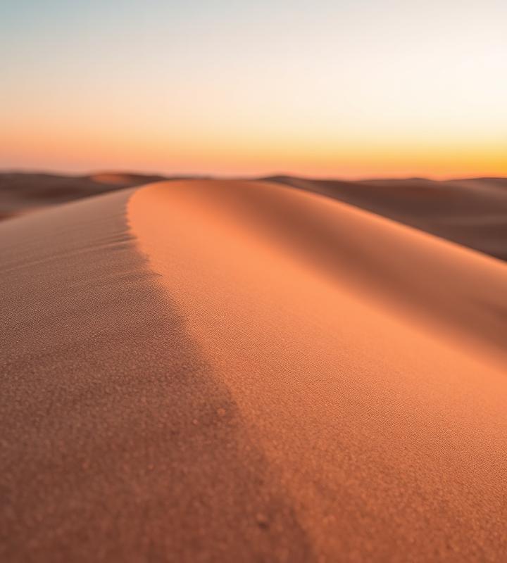 Dune / 03